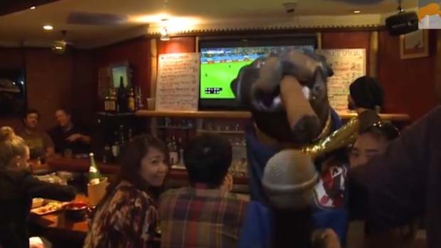Triumph insult comic dog world cup2